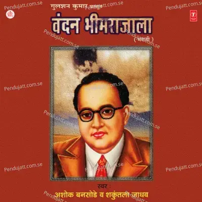 Shikval Jagi Jagaya - Ashok Bansode album cover 