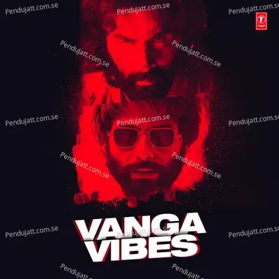 Vanga Vibes - Various Artists