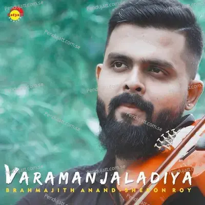 Varamanjaladiya - Vidhu Prathap album cover 