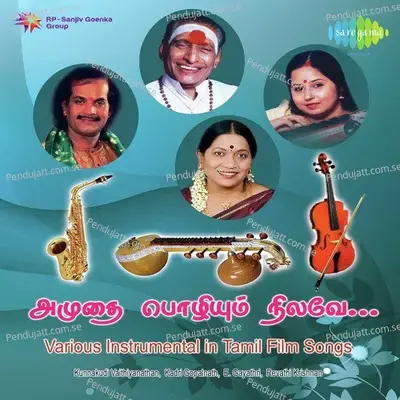 Naan Pesa Vanthen - Inst -Revathy Krishna - Revathy Krishna album cover 