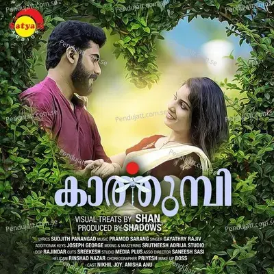 Varnangalerum - GAYATHRY RAJIV album cover 