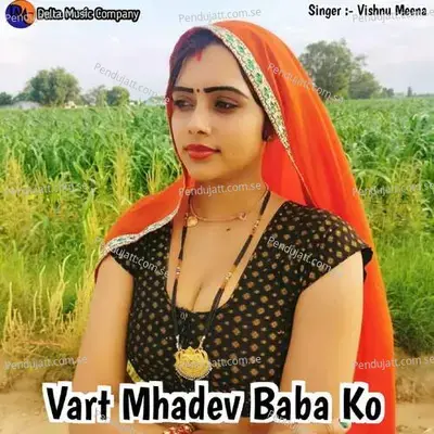 Vart Mhadev Baba Ko - Vishnu Meena album cover 