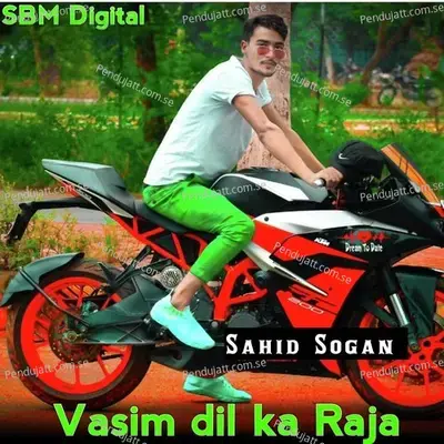 Vasim Dil Ka Raja - Sahid Sogan album cover 