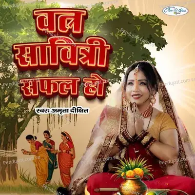 Vat Savitri Safal Ho - Amrita Dixit album cover 