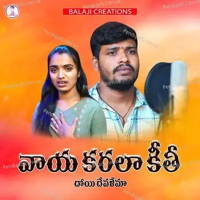 Vaya Karala Kiti - BALAKRISHNA VADHTHYA album cover 