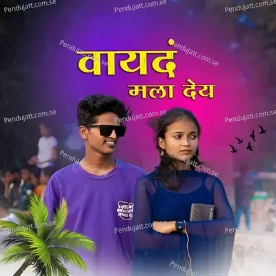 Vayda Mala Dey - Ramesh Tambada album cover 