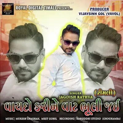 Vaydo Karine Vat Bhuli Jai - Jagdish Rathva album cover 