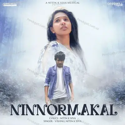 Vazhikalile - Nitin K Siva album cover 