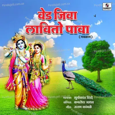 Ved Jiva Lavito Pava - Suryakant Shinde album cover 