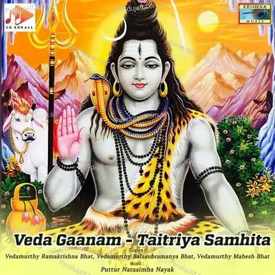 Veda Gaanam - Taitriya Samhita - Puttur Narasimha Nayak cover album