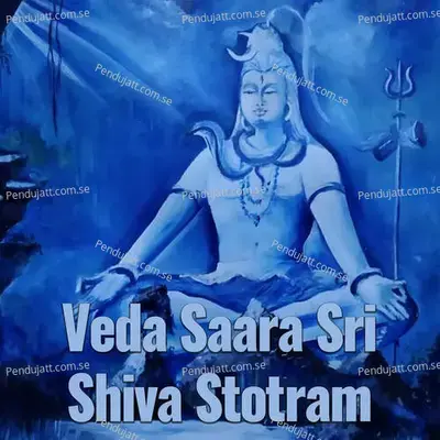 Veda Saara Sri Shiva Stotram - Veeramani Kannan album cover 