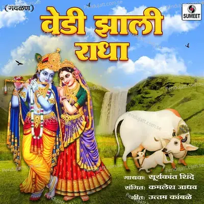 Vedi Zali Radha - Suryakant Shinde album cover 