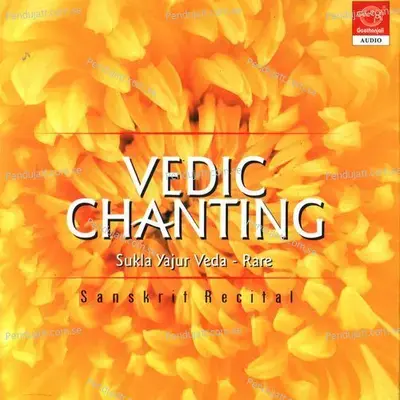 Vedic Chanting - Dr.R. Thiagarajan cover album