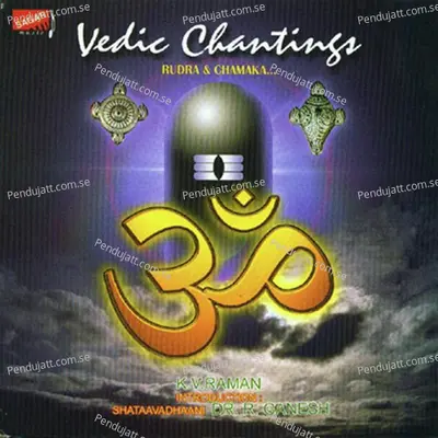 Vedic Chantings Rudra And Chamaka - Various Artists cover album