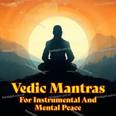 Vedic Mantras For Instrumental And Mental Peace - Dr.R. Thiagarajan cover album