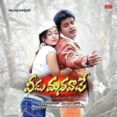 Baadam Pistha Nuvvu - Srikanth album cover 