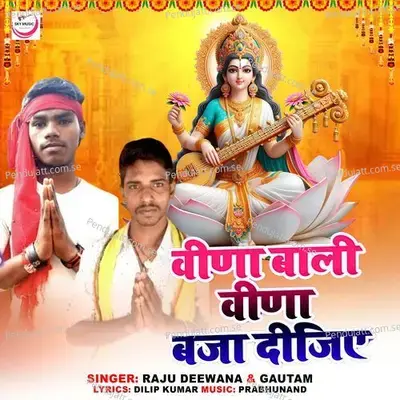 Veena Wali Veena Baja Dijiye - Raju Deewana album cover 