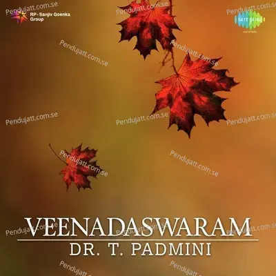 Brindavana Nilaye And Nagaswaram - Dr. T. Padmini album cover 