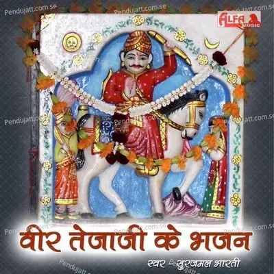 Dakaniya Jor Shor Shardave Re - Surajmal Bharti album cover 