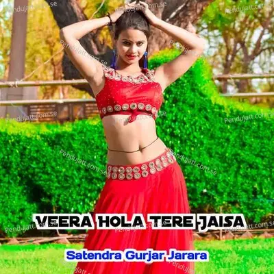 Veera Hola Tere Jaisa - Satendra Gurjar Jarara