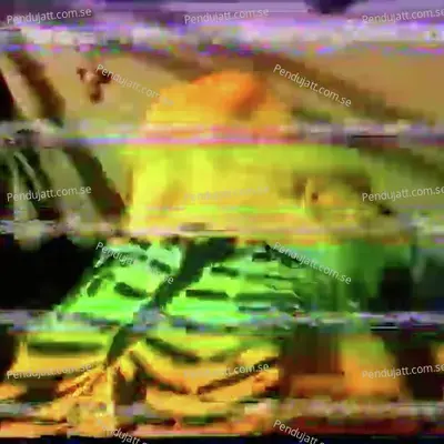 Veganleather - Bones album cover 