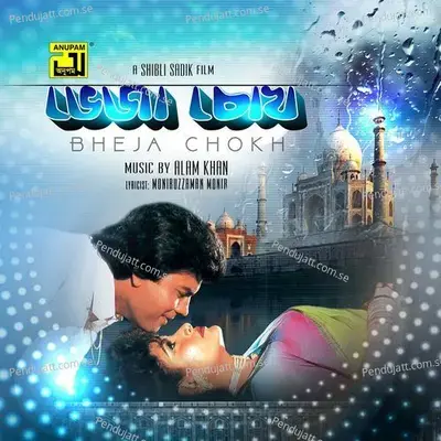 Tui To Kaal Chole Jabi - Andrew Kishore album cover 