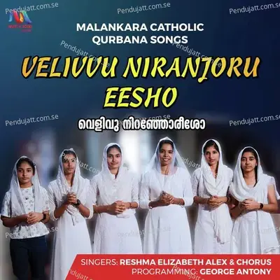 Velivvu Niranjoru Eesho - Reshma Elizabeth Alex album cover 