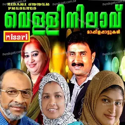 Allante - Nilambur Shaji album cover 