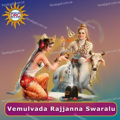 Rajjanaro Posavaro - Warangal Shankar album cover 