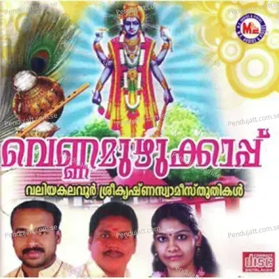 Valiya Kalavooramarum - Sujith Krishnan album cover 