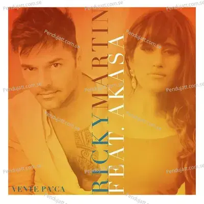 Vente Pa  039  Ca - Ricky Martin album cover 