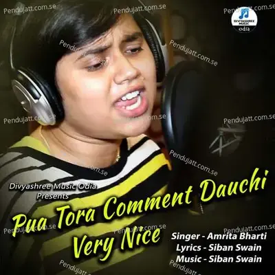 Very Nice - Amrita Bharti Panda album cover 