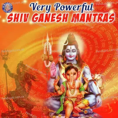 Very Powerful- Shiv Ganesh Mantras - Various Artists