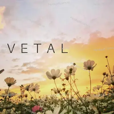 Vetal - Laxman Singh album cover 