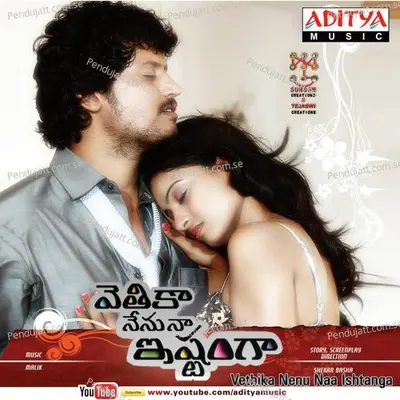 Vethika Nenu Naa Ishtanga - Malik album cover 