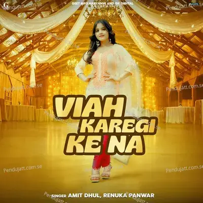 Viah Karegi Ke Na - Amit Dhul album cover 