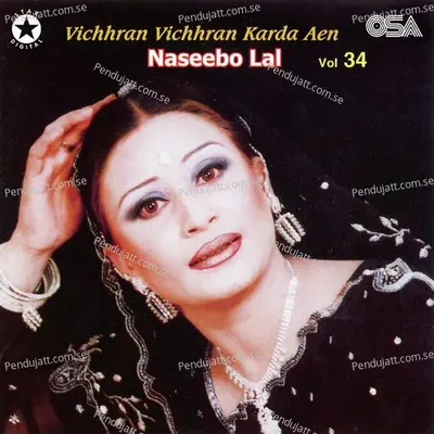 Tur Gaye Ne Jani - Naseebo Lal album cover 