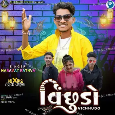 Vichhudo - Naravat Rathva album cover 