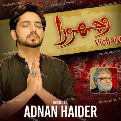 Vichora Bibi Sugrah - Adnan Haider album cover 