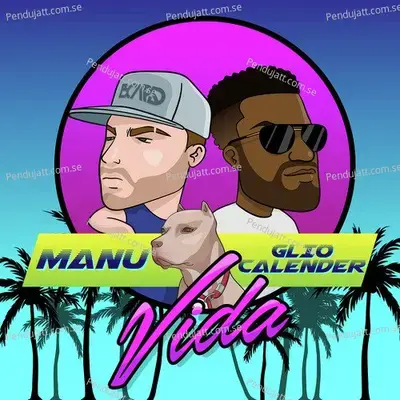 Vida - Manu album cover 
