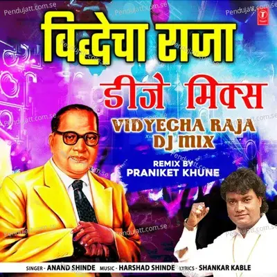 Vidyecha Raja Dj Mix - Anand Shinde album cover 