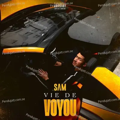 Vie De Voyou - Sam album cover 