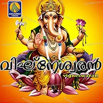 Pambha Nadhi - Shobu Alathur album cover 