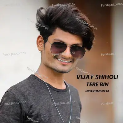 Vijay Shiholi Tere Bin - Vijay Shiholi album cover 