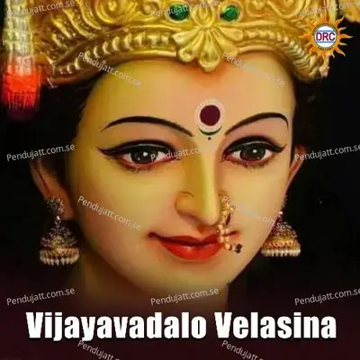 Vijayavadalo Velasina - Warangal Shankar album cover 