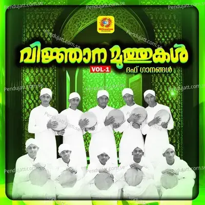 Randu Visarjana - Shameer album cover 