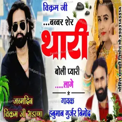 Vikram Ji Babbar Sher Thari Boli Pyari Lage - Hanuman Gurjar Nimod album cover 