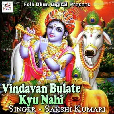 Shyam Ki Deewani Hui - Sakshi Kumari album cover 