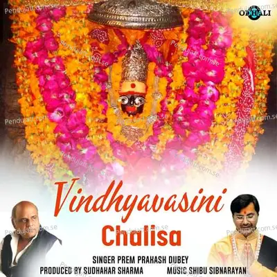 Vindhyavasini Chalisa - Shibu Sibnarayan