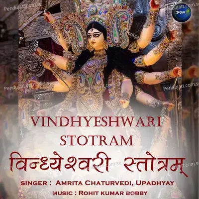 Vindhyeshwari Stotram - Amrita Chaturvedi album cover 